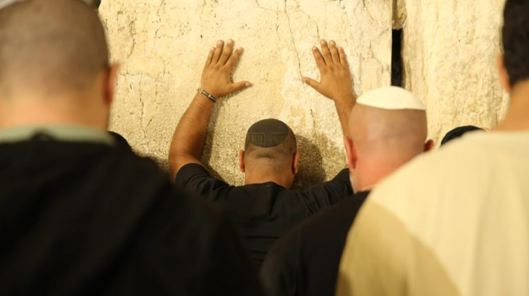 גלריה סליחות