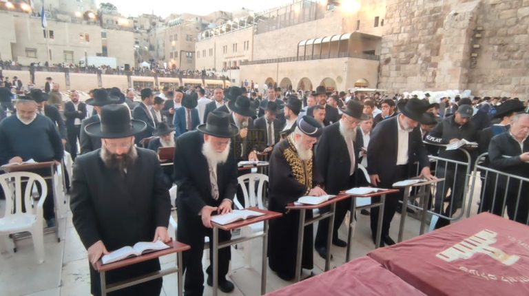 WhatsApp Image 2022-11-23 at 18.39.58