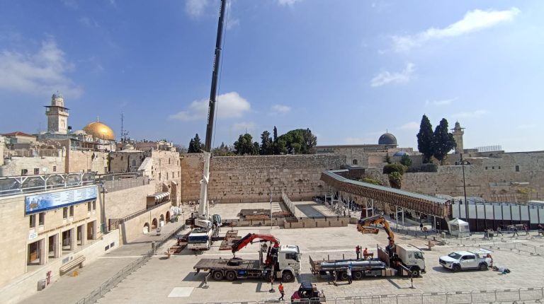 WhatsApp Image 2024-02-25 at 11.26.36