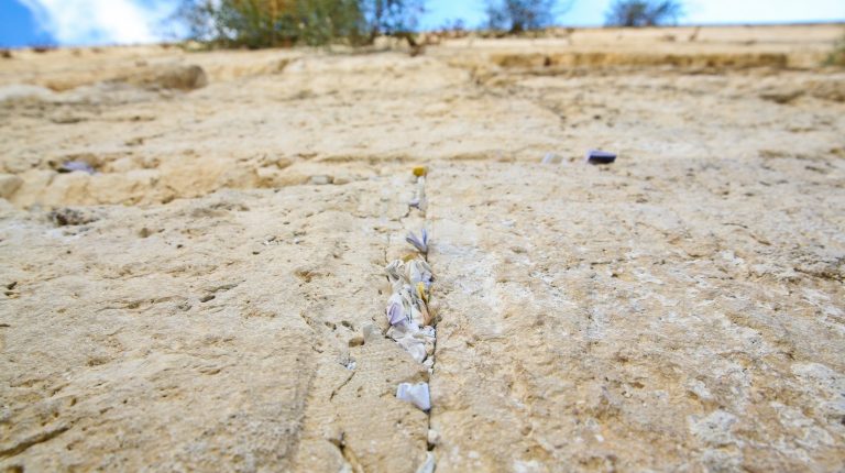 WhatsApp Image 2024-02-29 at 15.42.31