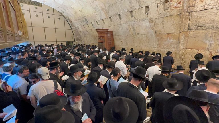 WhatsApp Image 2024-08-04 at 15.13.35 (1)