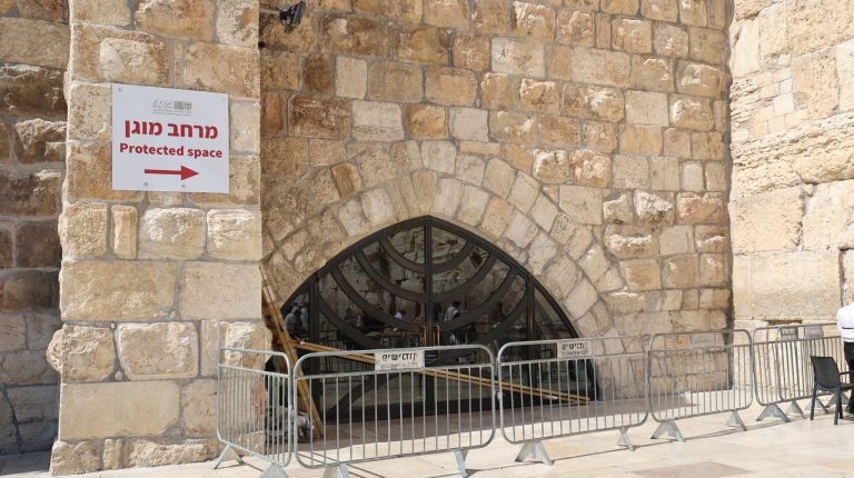 WhatsApp Image 2024-08-11 at 16.46.05