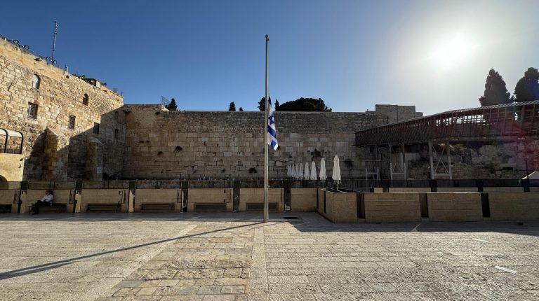 WhatsApp Image 2024-10-27 at 08.25.05