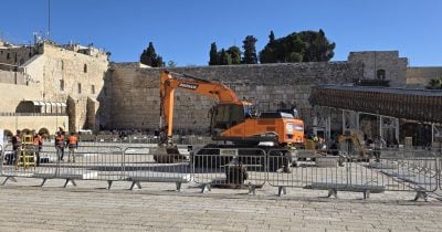 WhatsApp Image 2026-01-11 at 09.43.07