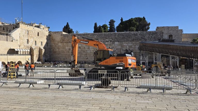 WhatsApp Image 2026-01-11 at 09.43.07