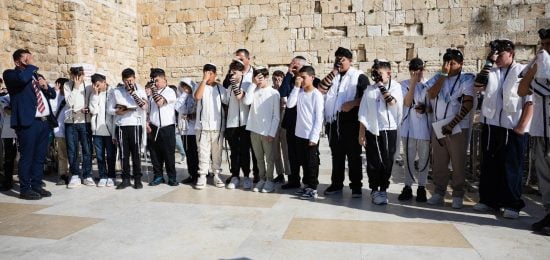 WhatsApp Image 2026-01-14 at 16.20.31 (2)