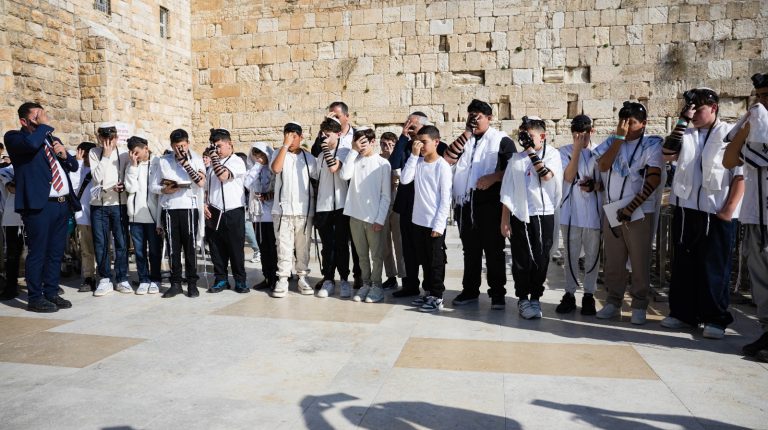 WhatsApp Image 2026-01-14 at 16.20.31 (2)