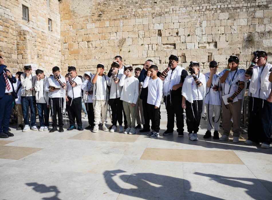 WhatsApp Image 2026-01-14 at 16.20.31 (2)