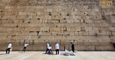 WhatsApp Image 2026-03-08 at 13.10.53