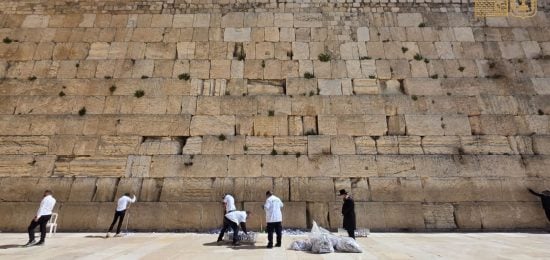 WhatsApp Image 2026-03-08 at 13.10.53