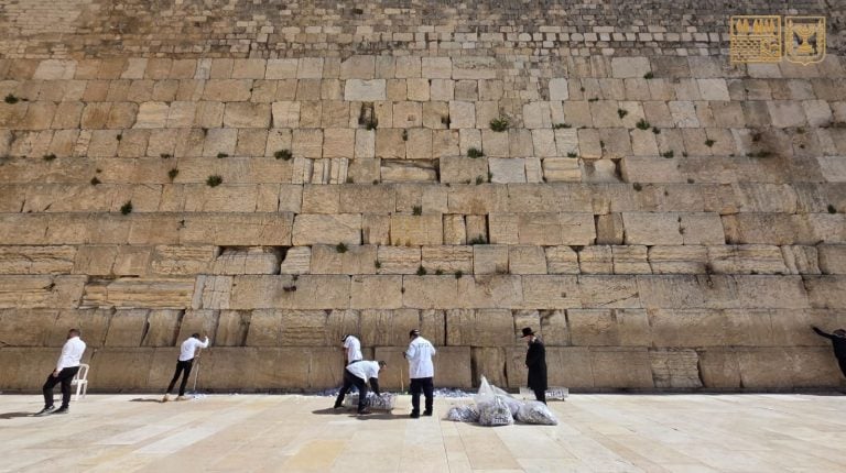 WhatsApp Image 2026-03-08 at 13.10.53