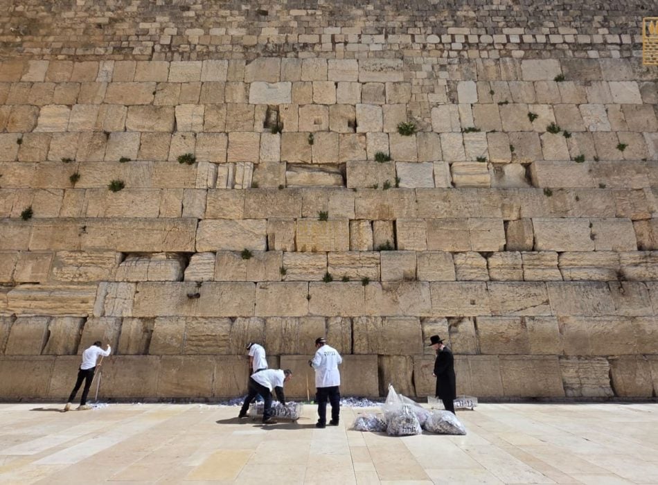 WhatsApp Image 2026-03-08 at 13.10.53