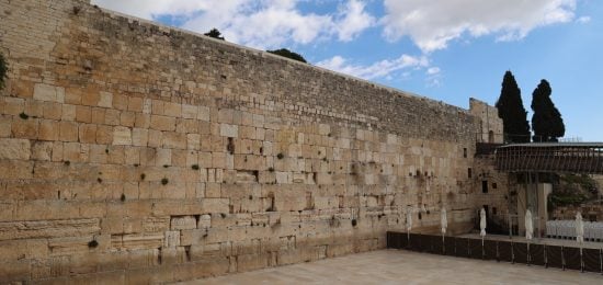 WhatsApp Image 2026-03-12 at 22.37.56