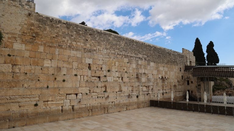 WhatsApp Image 2026-03-12 at 22.37.56