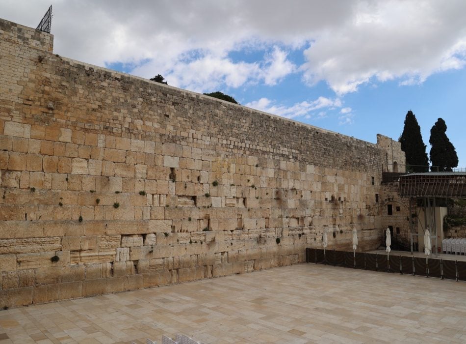 WhatsApp Image 2026-03-12 at 22.37.56