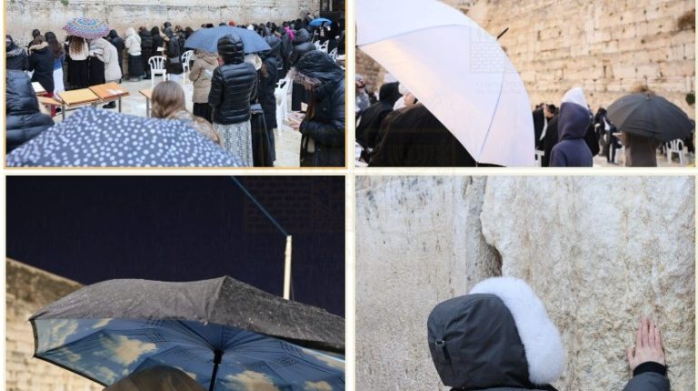 d622d423-6ff7-4de8-bab4-fb6565f3af65