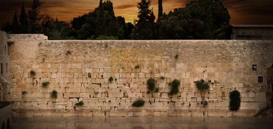 final image