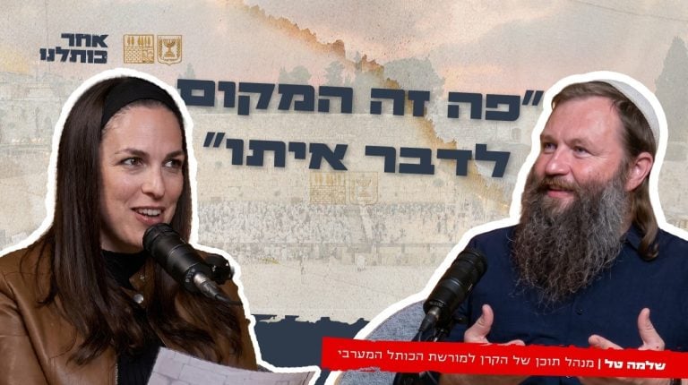 -שלמה טל
