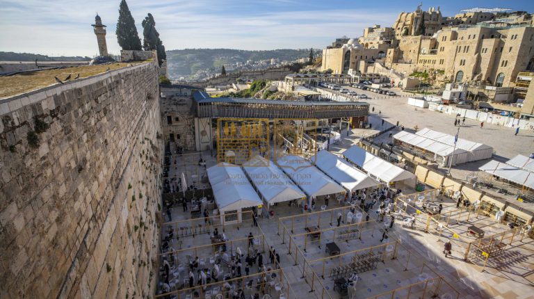 westernwall consevationcovid optimized