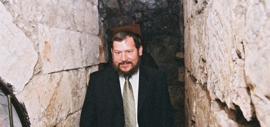 אורי לופוליאנסקי (2)