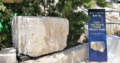 הרב שמואל רבינוביץ (2)