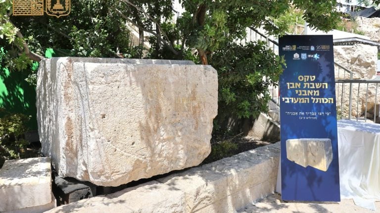 הרב שמואל רבינוביץ (2)