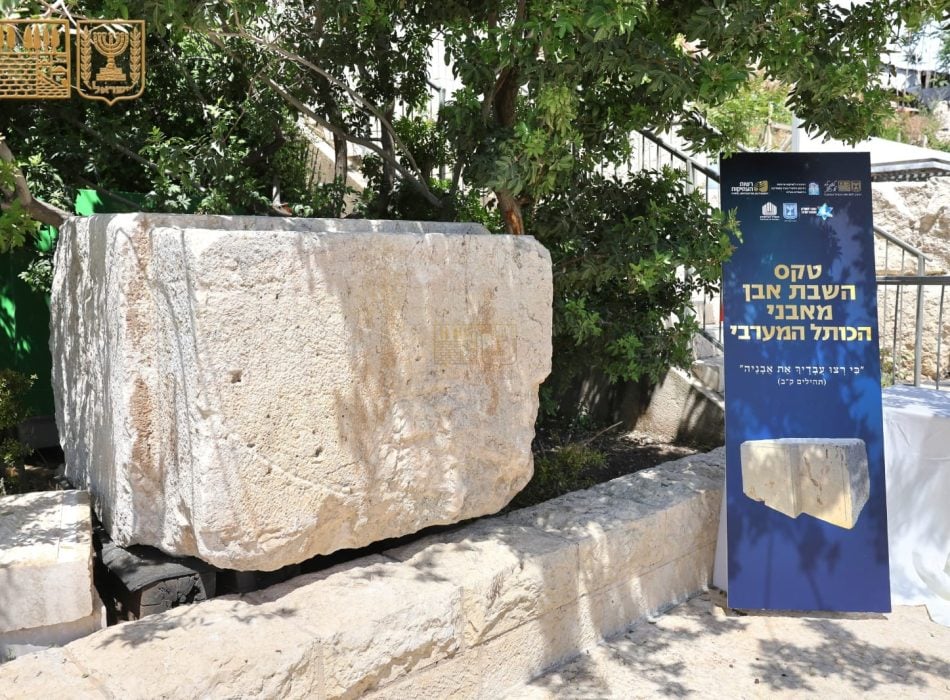 הרב שמואל רבינוביץ (2)