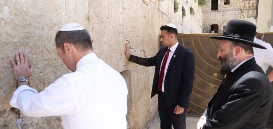 חברי קונגרס הרב רבינוביץ (3)
