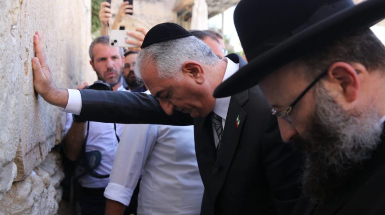 יורש העצר האיראני ובנו של השאה רזא פהלווי