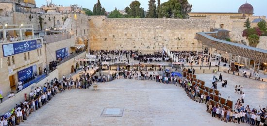 פריסת דגל ענק (73)