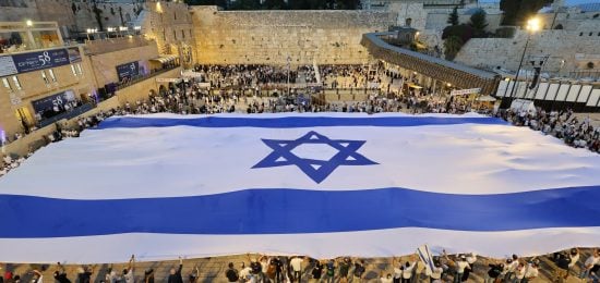 פריסת דגל ענק (9)