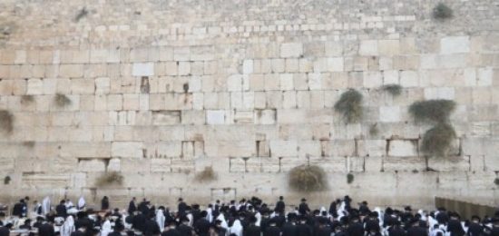 קהילתהמתמידיםבתפילהלרפואתרבם הרבנתןיהודהלייבבןרבקהמינצברג,בכותלהמערב