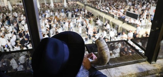 שורדי שבי ובני משפחות החטופים (2)