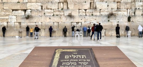 תהילים וברקע מתפללים באבני הכותל (1)